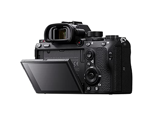 Sony a7R III - I shoot with this. Hands down best affordable Mirrorless Camera for photography and video (42.4MP)