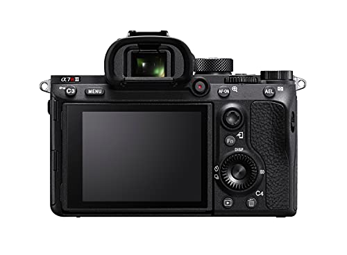 Sony a7R III - I shoot with this. Hands down best affordable Mirrorless Camera for photography and video (42.4MP)