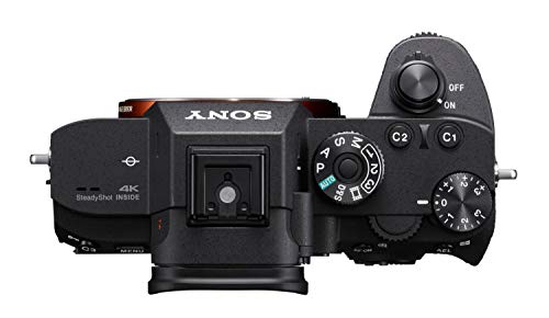 Sony a7R III - I shoot with this. Hands down best affordable Mirrorless Camera for photography and video (42.4MP)