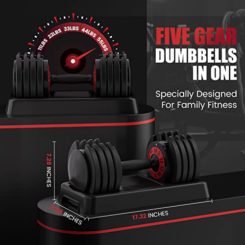 Adjustable Dumbbells