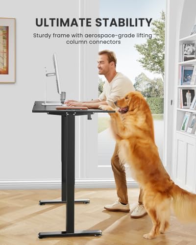 Adjustable Electric Standing Desk