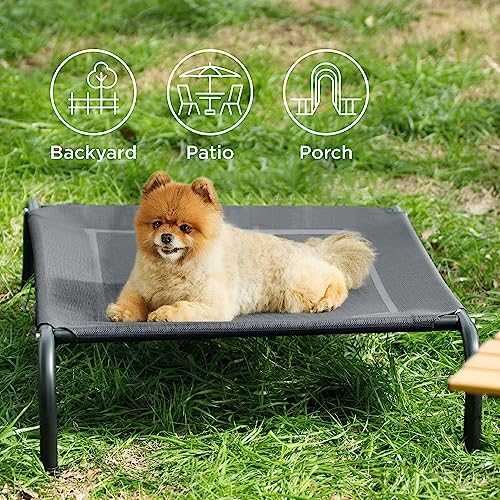 Indoor & Outdoor Bed Your Dog Will Love