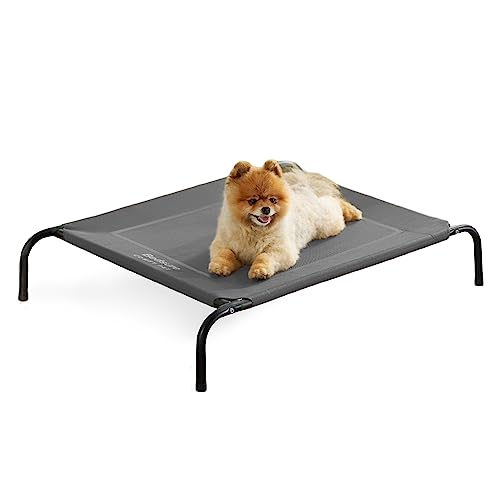 Indoor & Outdoor Bed Your Dog Will Love