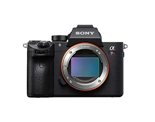 Sony a7R III - I shoot with this. Hands down best affordable Mirrorless Camera for photography and video (42.4MP)