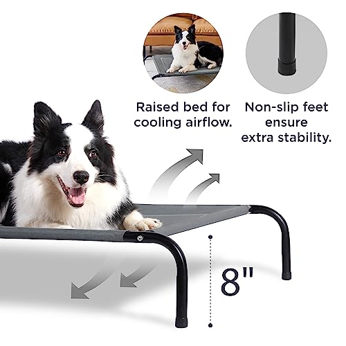 Indoor & Outdoor Bed Your Dog Will Love